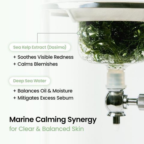 BIODANCE Refreshing Sea kelp Real Deep Mask, Overnight Hydrogel Face Mask, Calming, Oil & Sebum Control, Blemish Care, After Sun Care, Sunburn Relief, Korean Skin Care | 1.19oz(34g) x 4ea